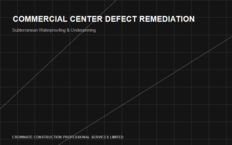 Existing Condition Assessment - Crownate Construction